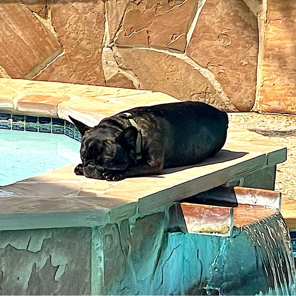 Meet your Posher, Lori - Picture 1 of 1